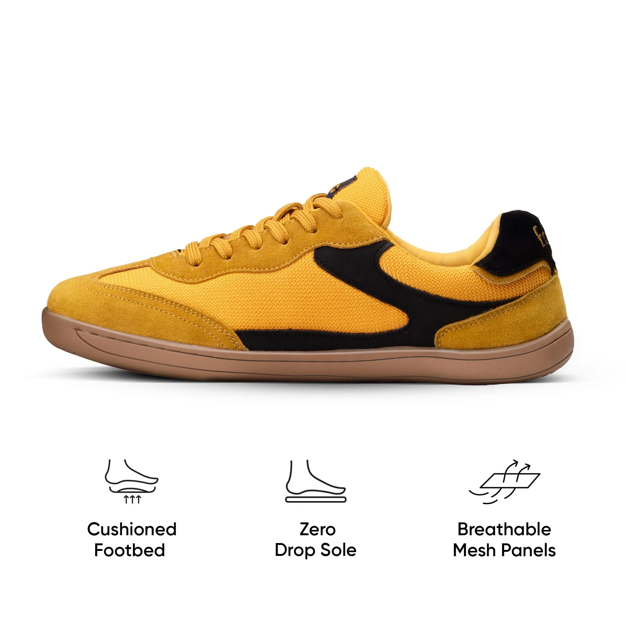 Product image 146