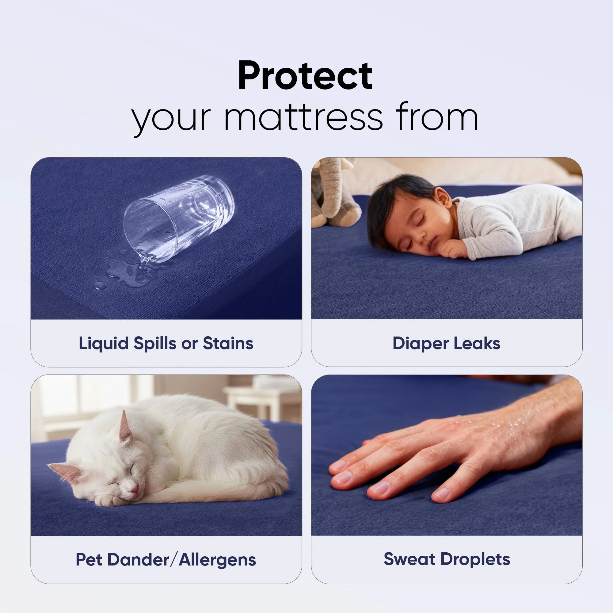 Product image 216